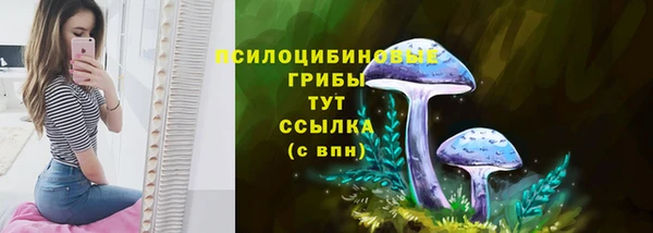 винт Богданович