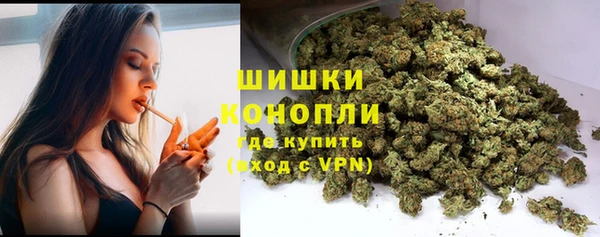 трава Белокуриха