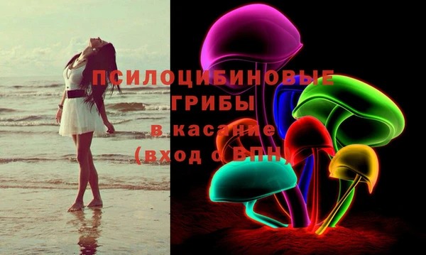 МДПВ Саяногорск
