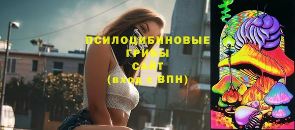 хмурый Бронницы